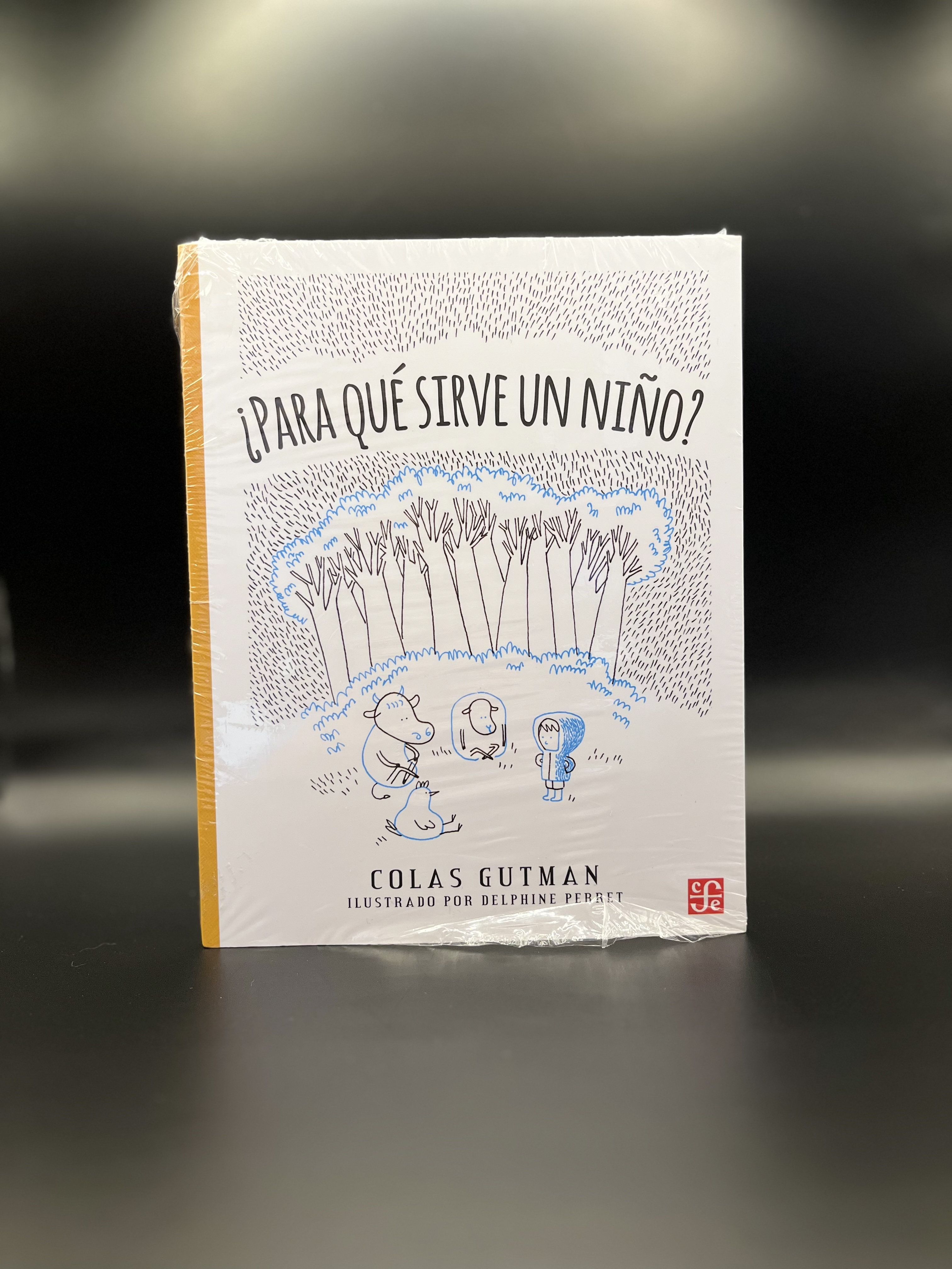Libro ¿Para qué sirve un niño?