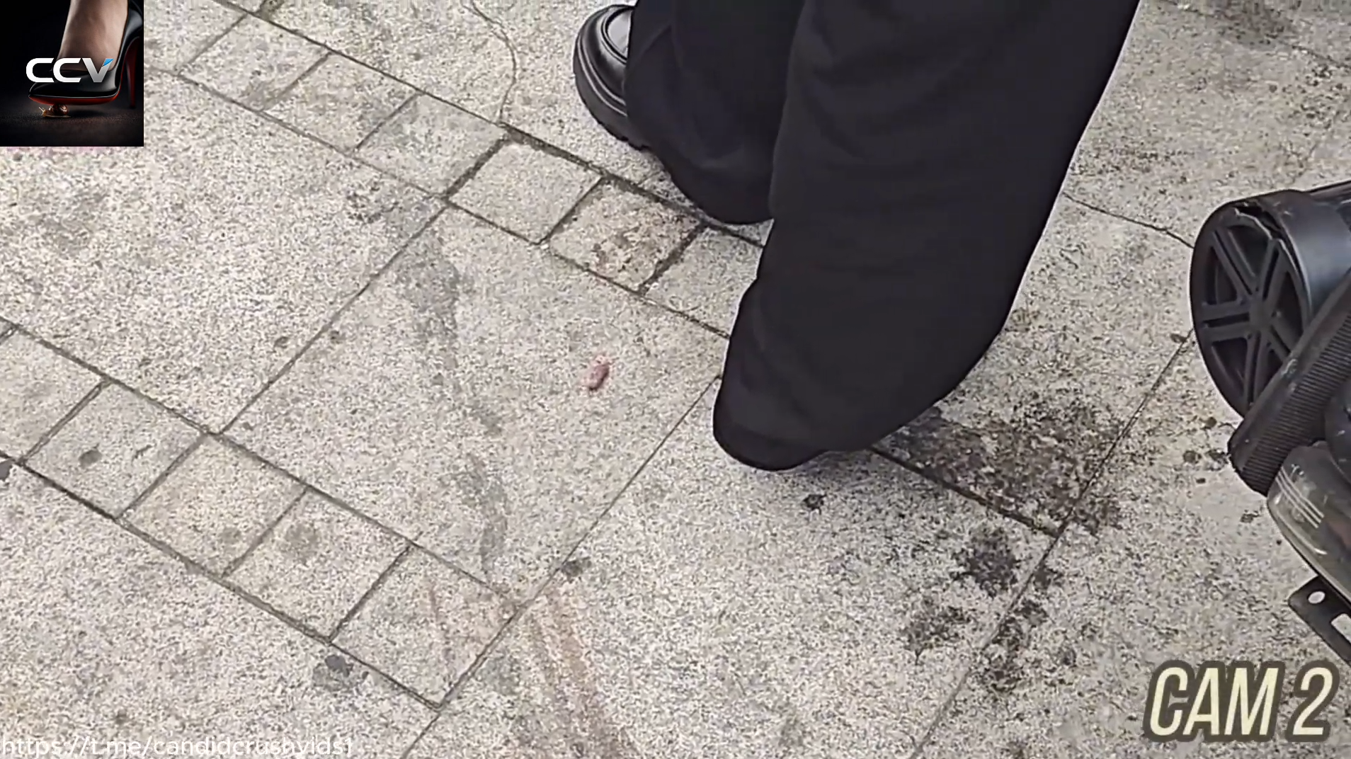 pinkie crush by sneakers and Loafers