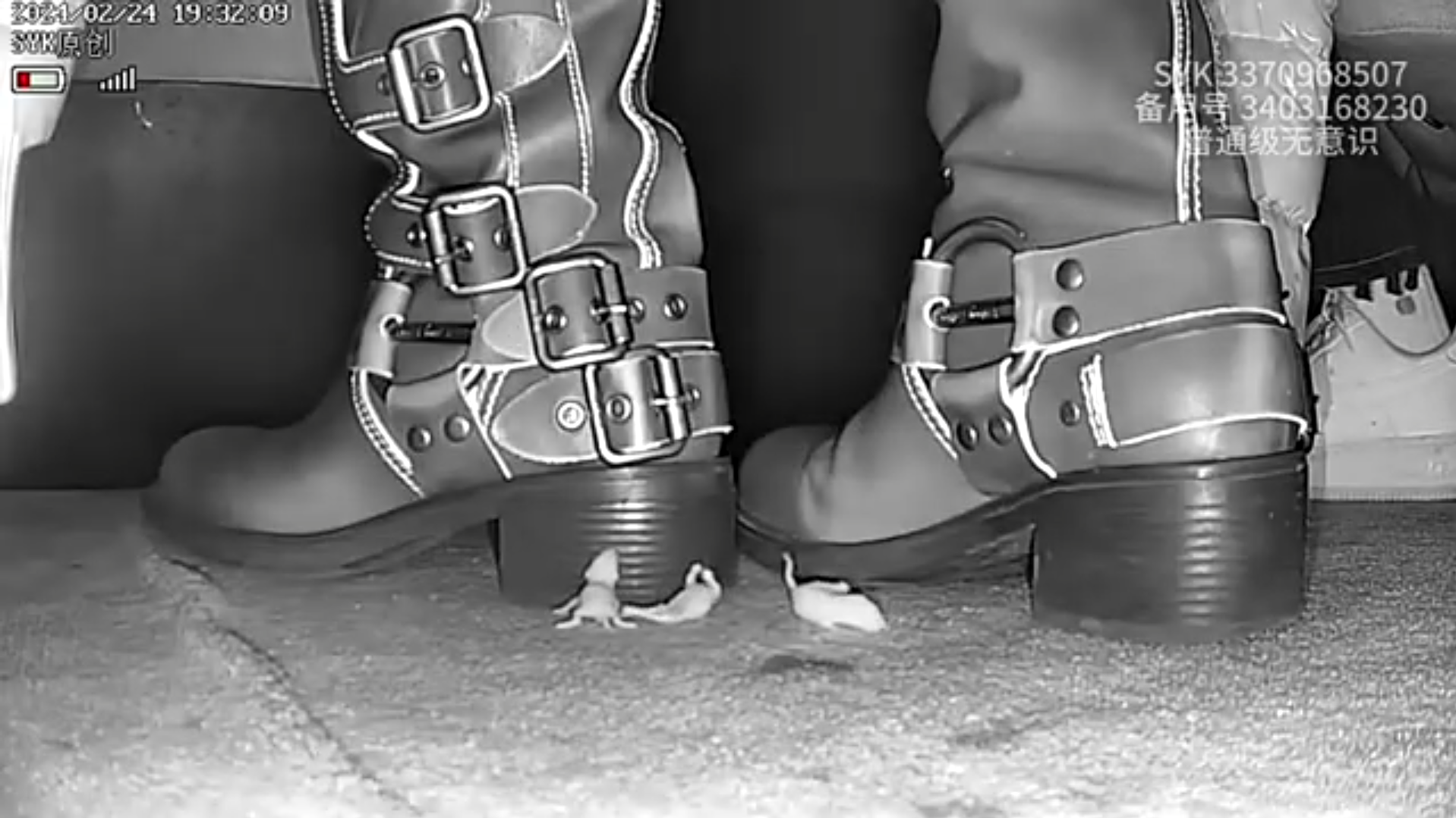 pinkie crush by brown boots