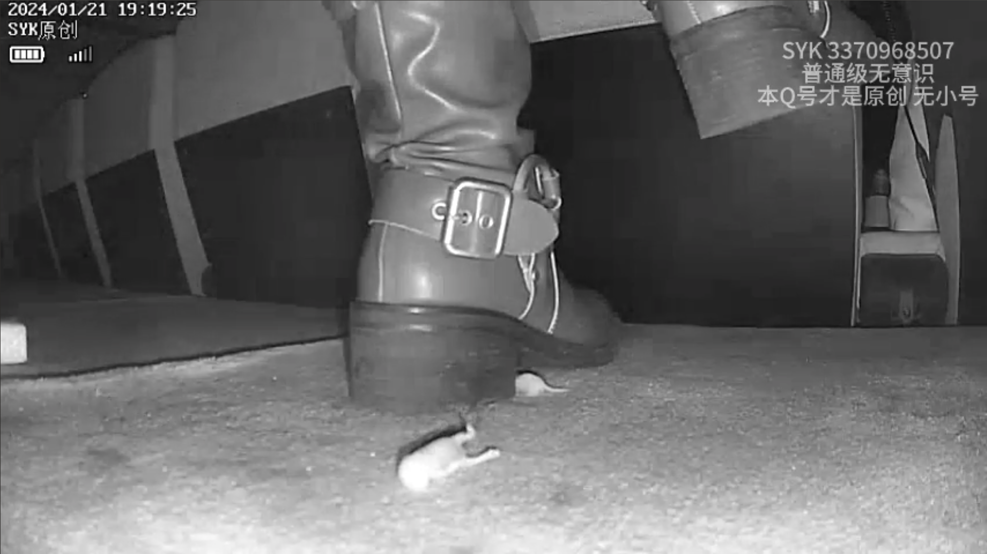 3 Women crush pinkie with Sneakers, loafers and leather  Boots