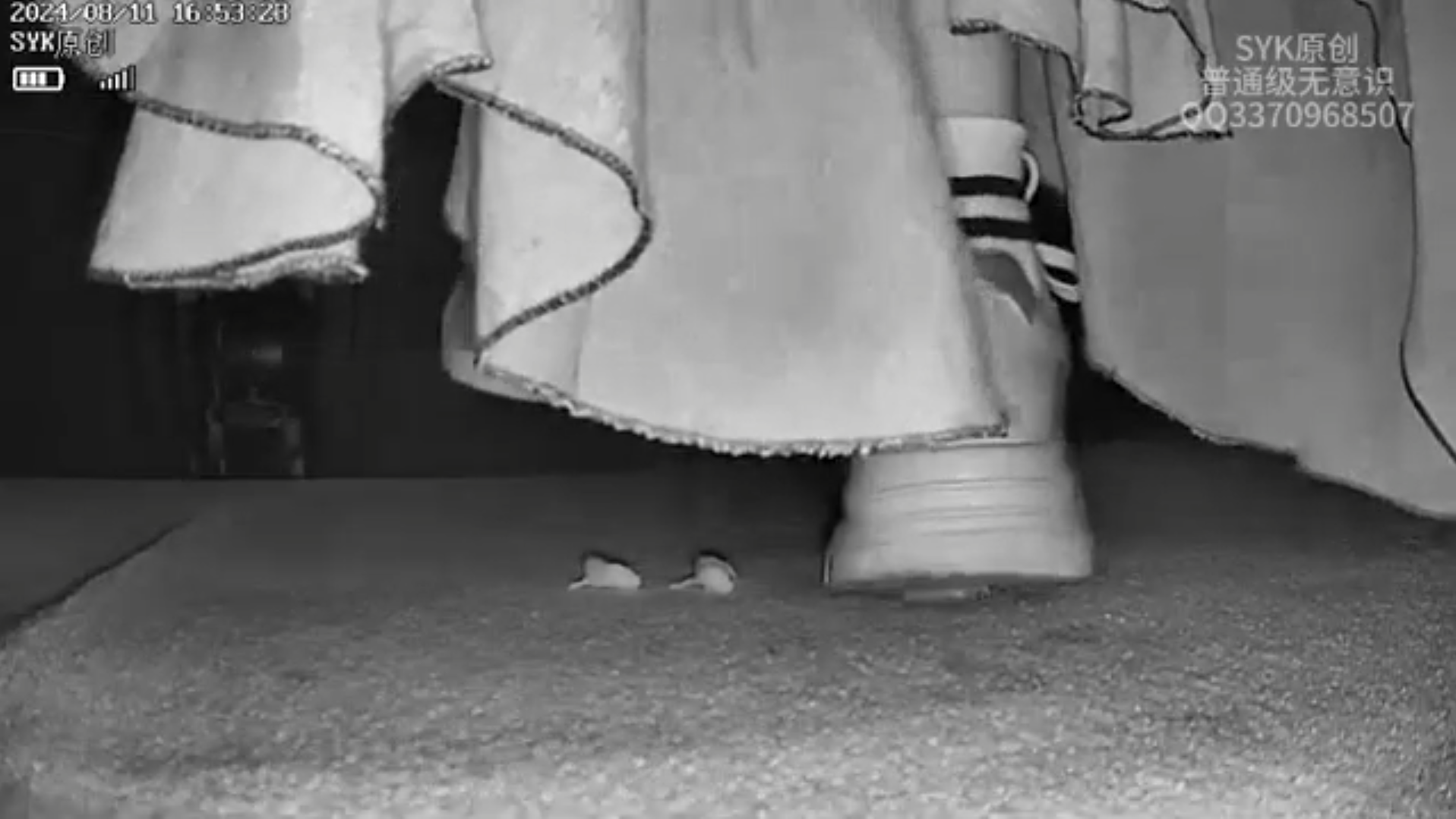 candid sneaker pinkie crush