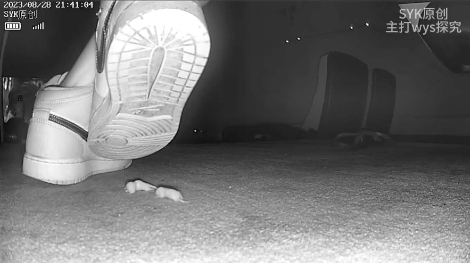 pinkie crushed by young women with nike  Sneakers