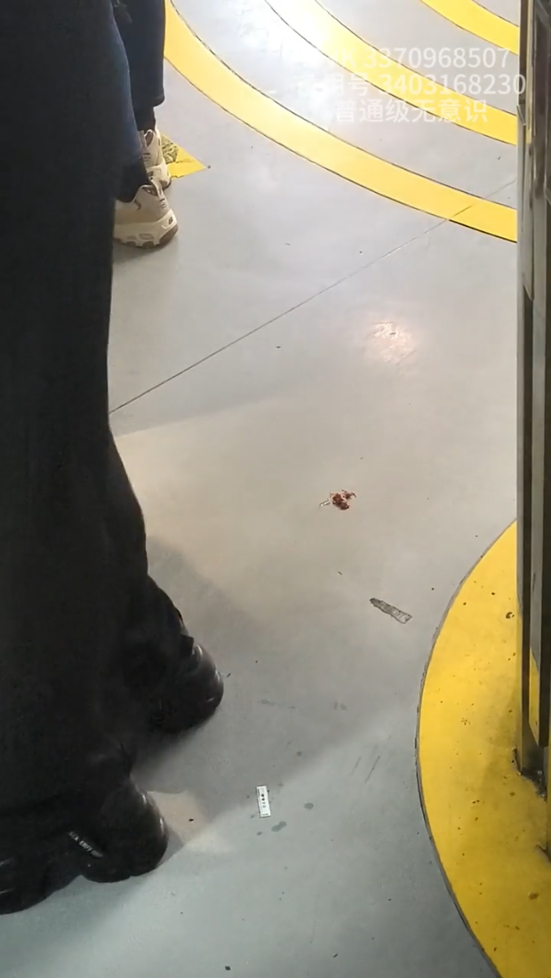 Trainstation Pinkie Crush by Sneakers and  Boots