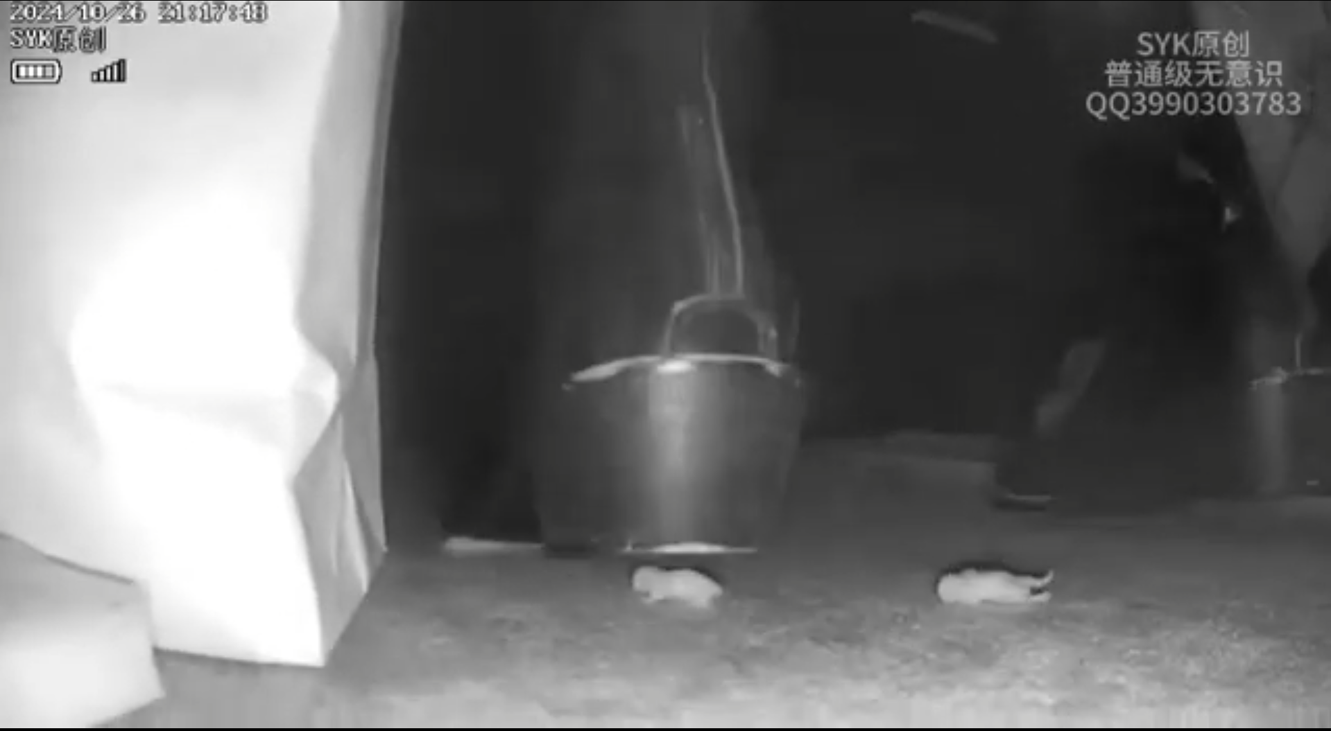 Leather boots pinkie crush