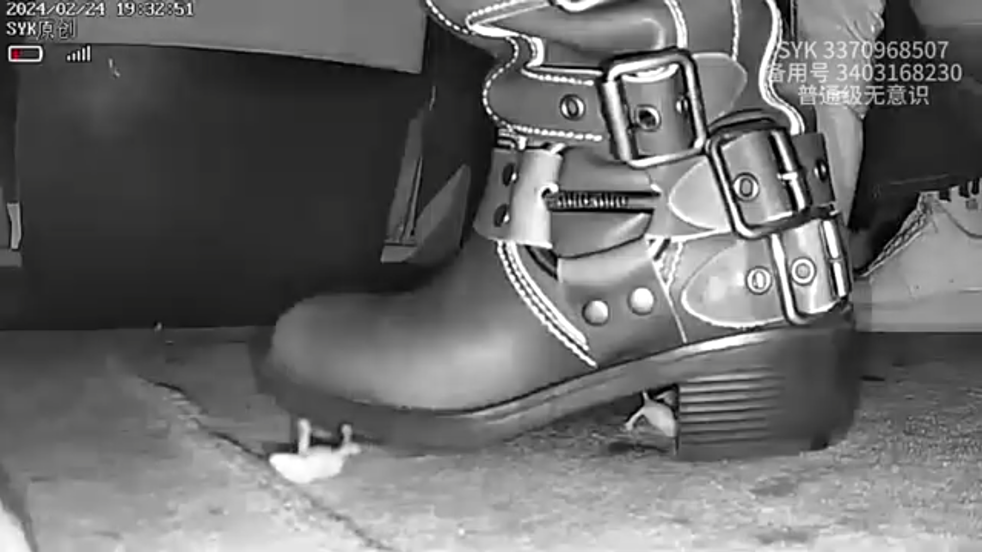 pinkie crush by brown boots