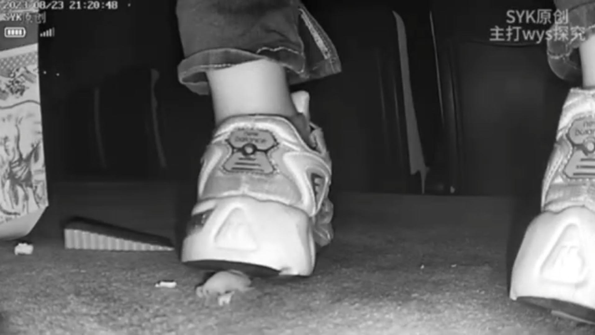 sneakers pinkie crush