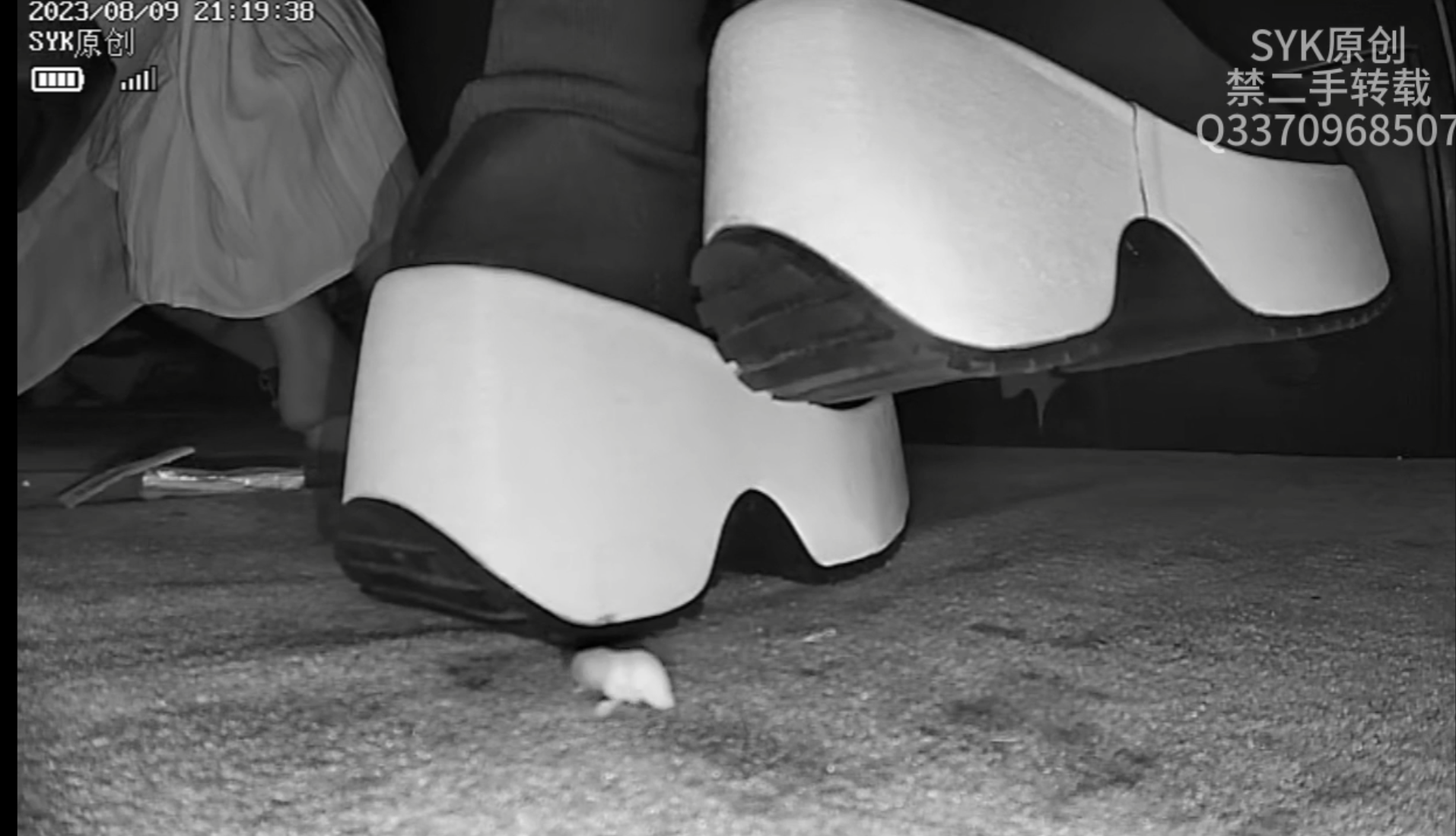 plattform pinkie crush