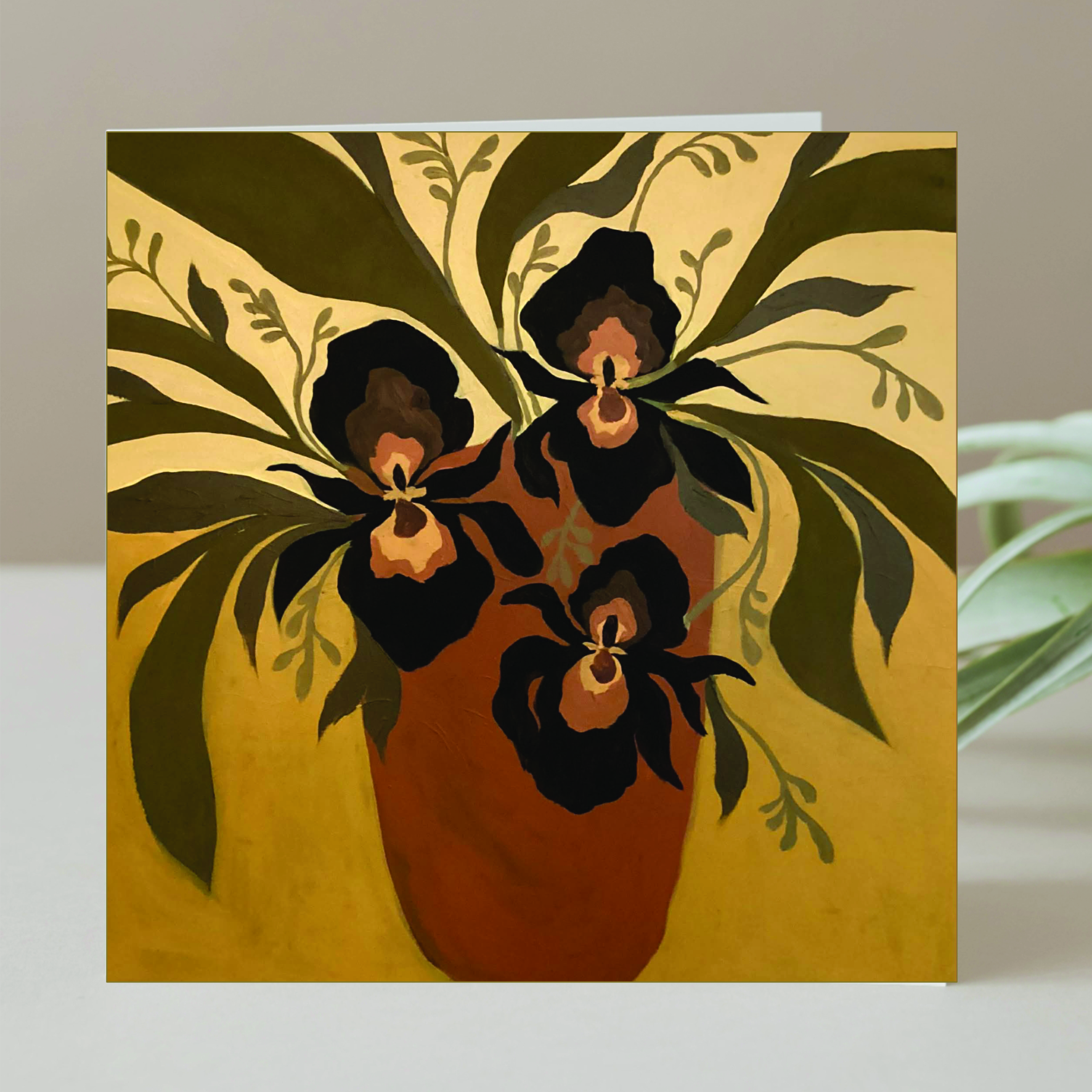 ''Black Widow'
