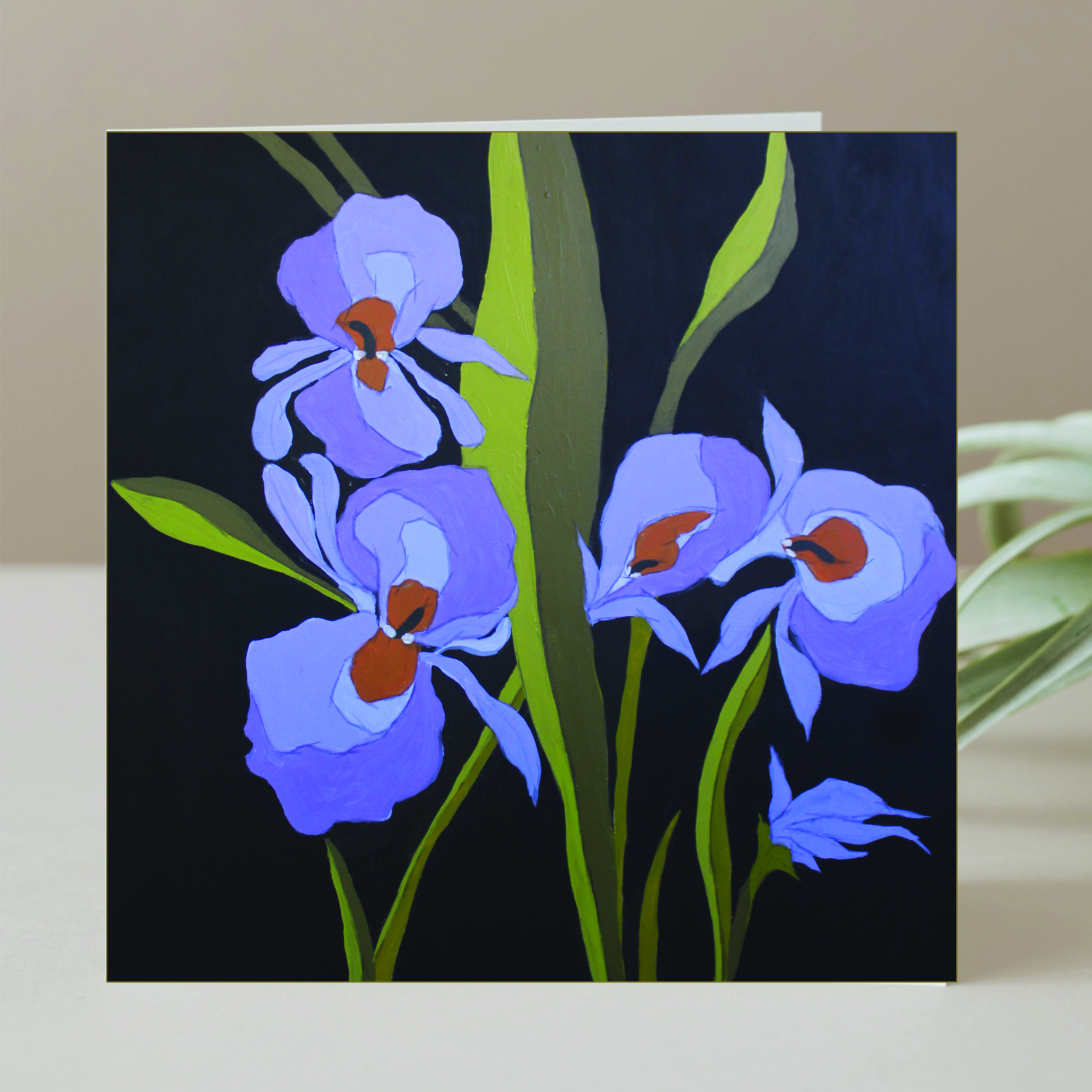 'Loving Lilies'