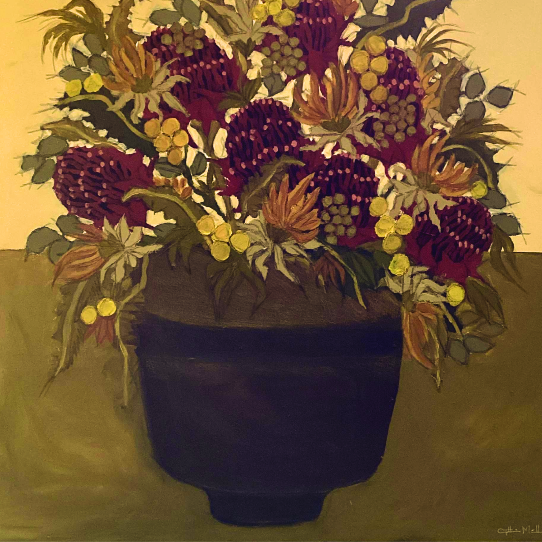 'Callistemon'