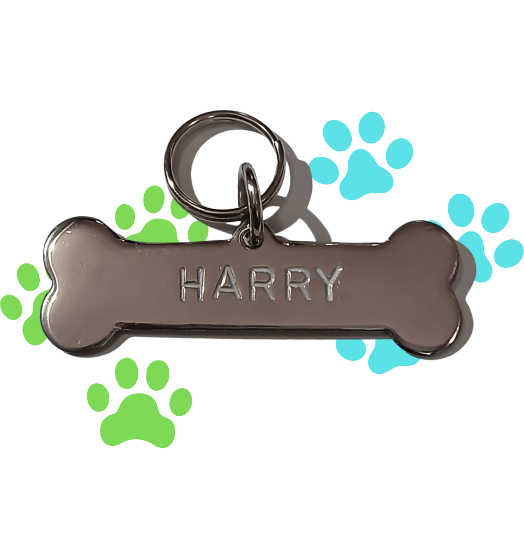 Placa grabada en forma de hueso largo