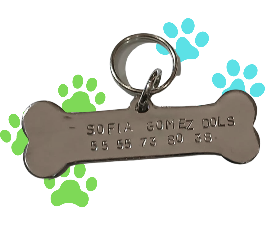 Placa grabada en forma de hueso largo