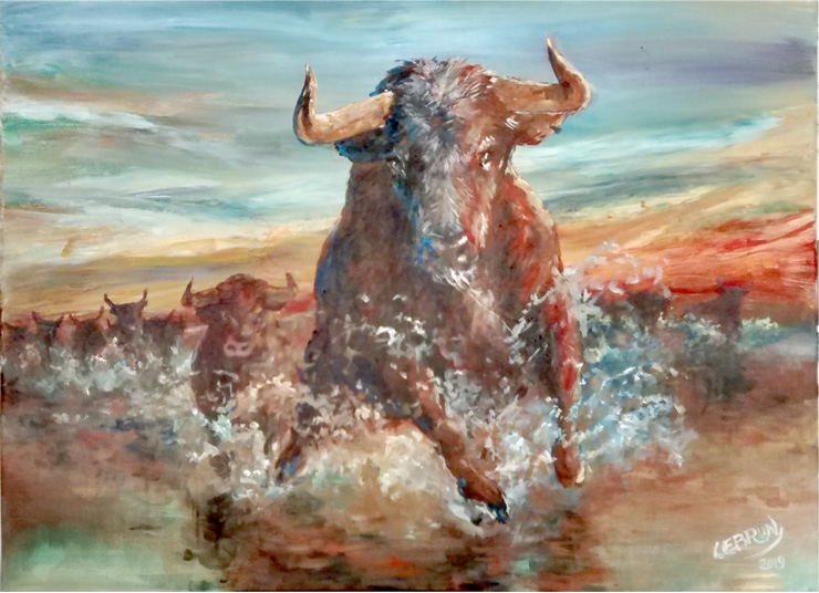 Nature sauvage de Camargue