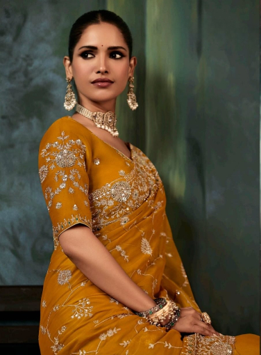 Golden Embroidered Saree