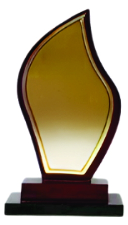 Elegant Flame Award Trophy