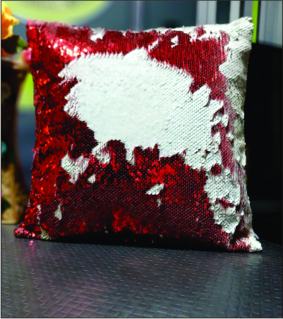 Sequin Cushion Cover