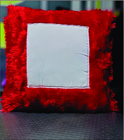 Red Velvet Cushion