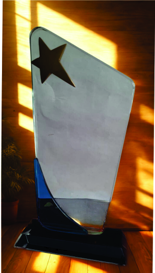 Star Acrylic Trophy with Gold Star