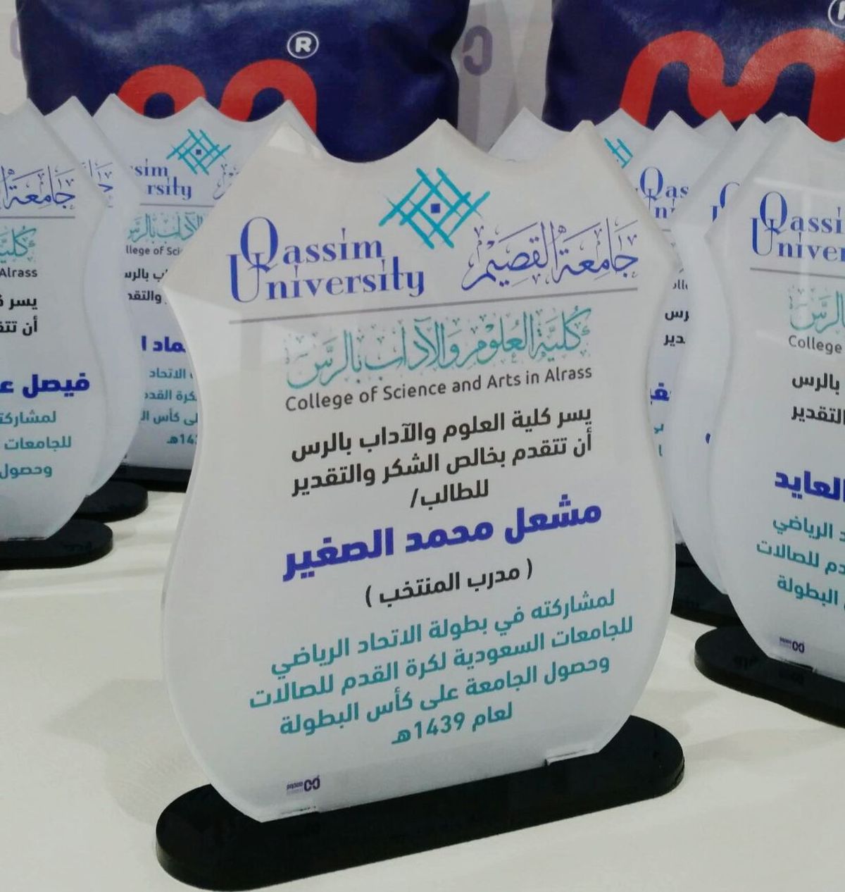 Custom Acrylic Award Trophy