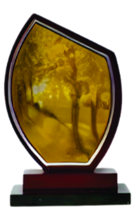 Art MDF Trophy