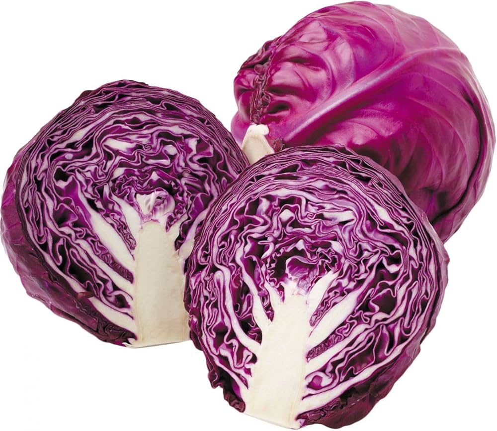 Purple Cabbage