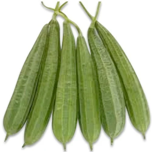 Ridge Gourd