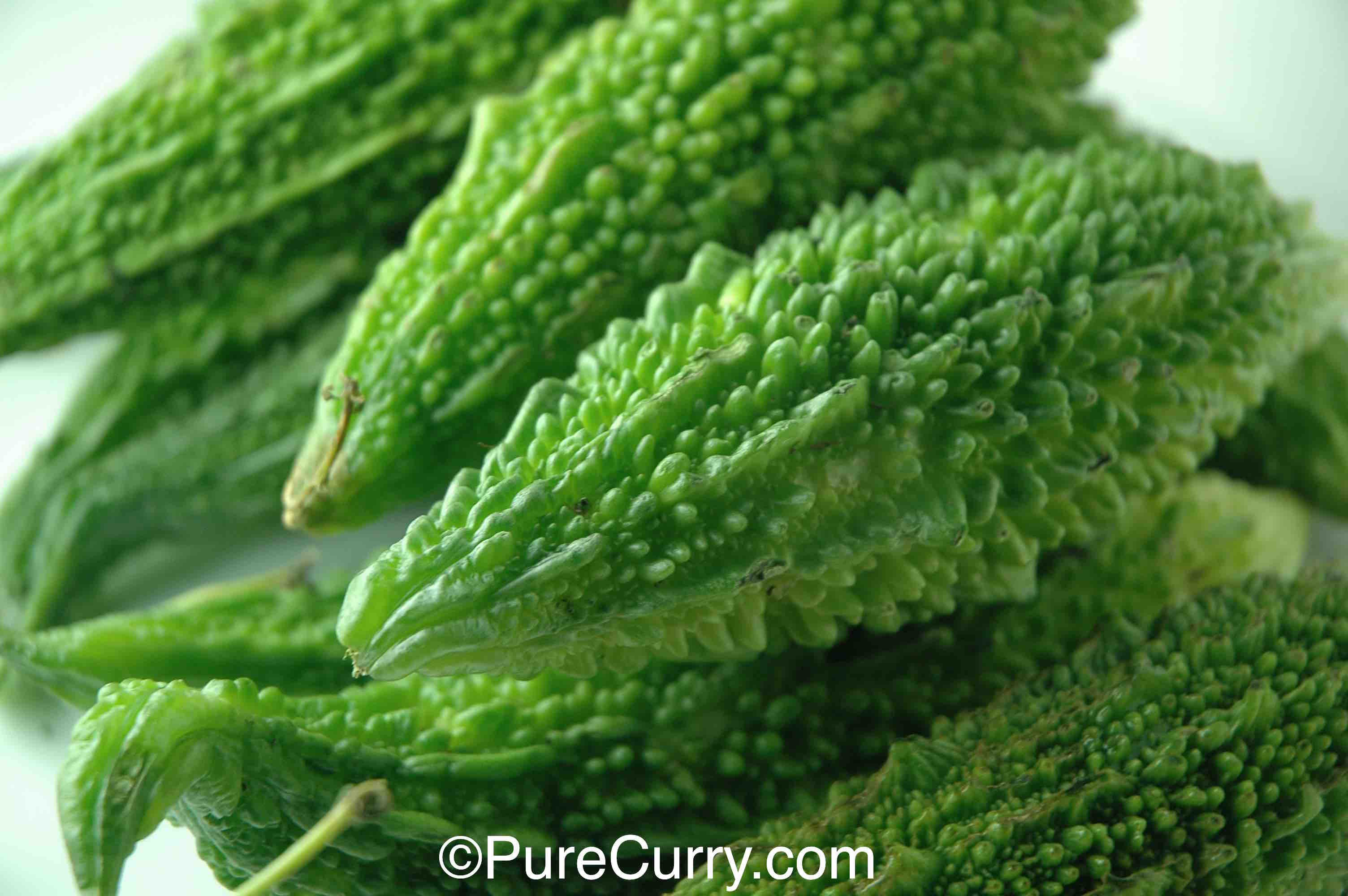 Fresh Bitter Gourd