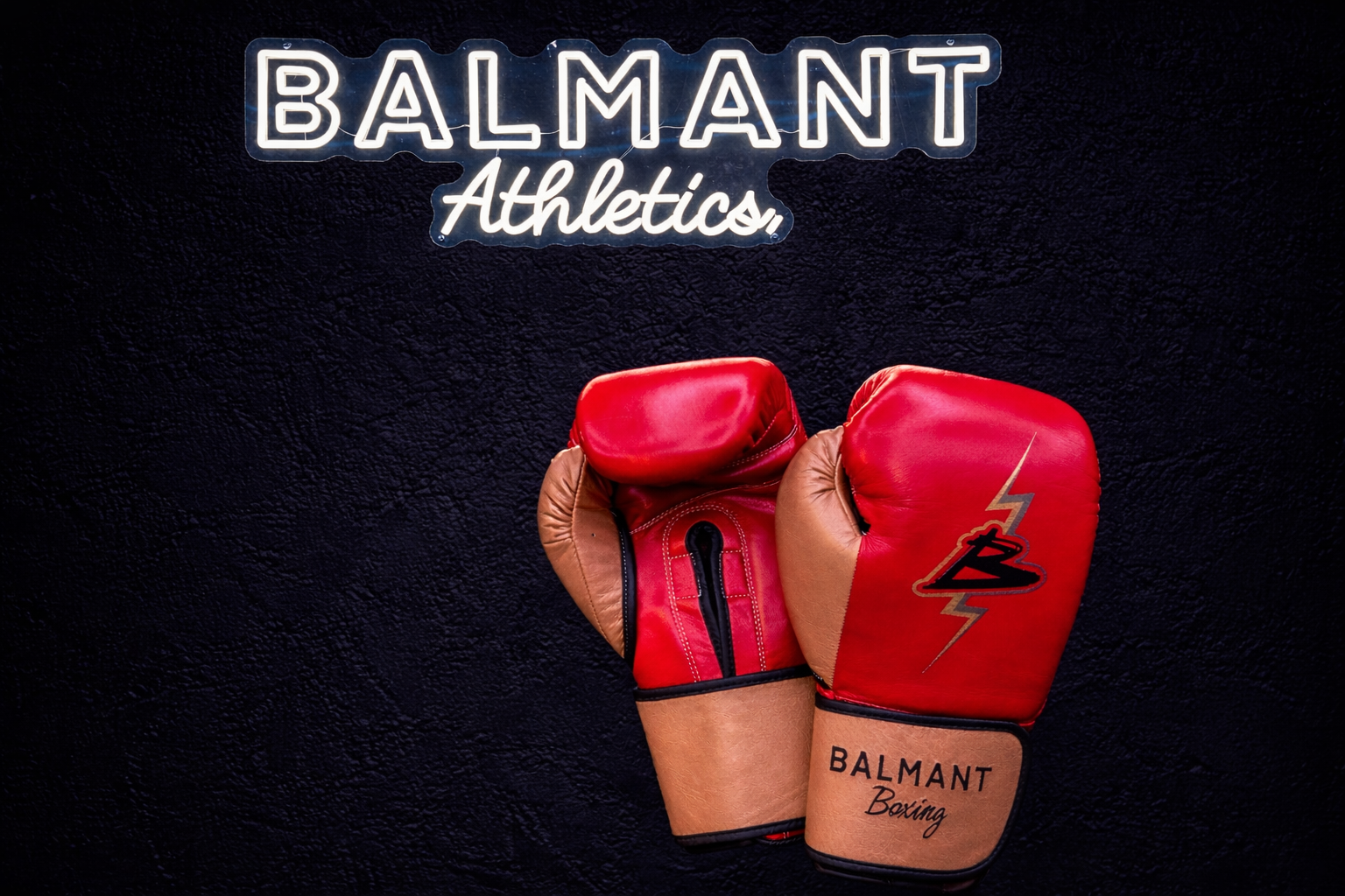 Premium Boxing Gloves Balmant RG Punch