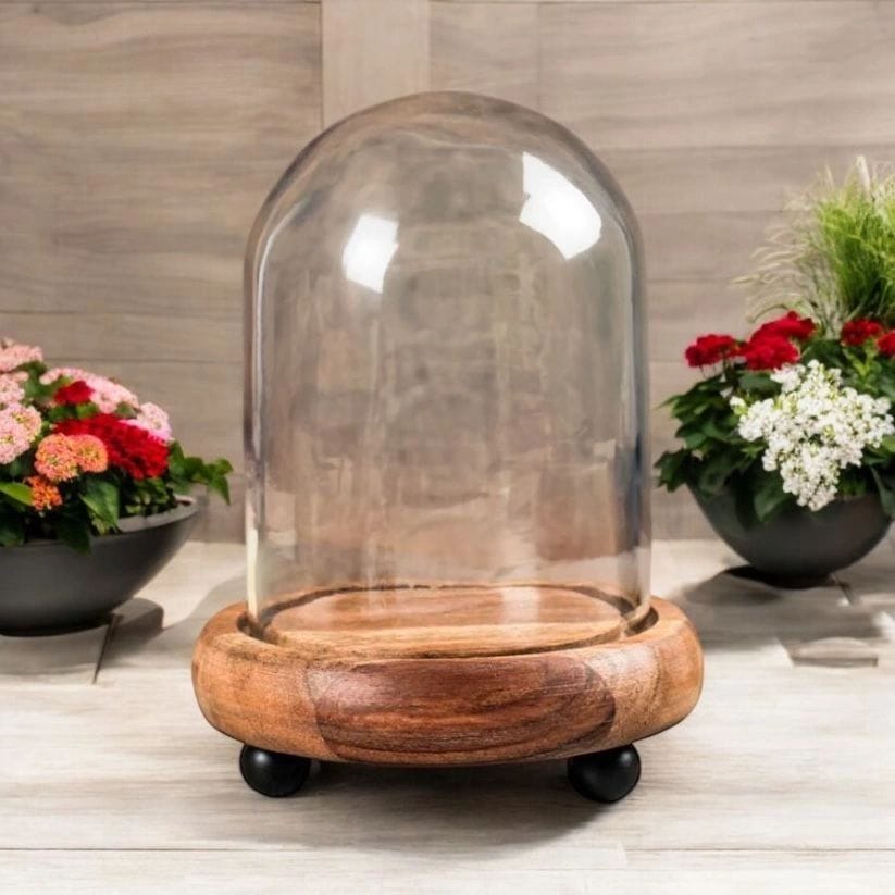 Glass Cloche Display Dome