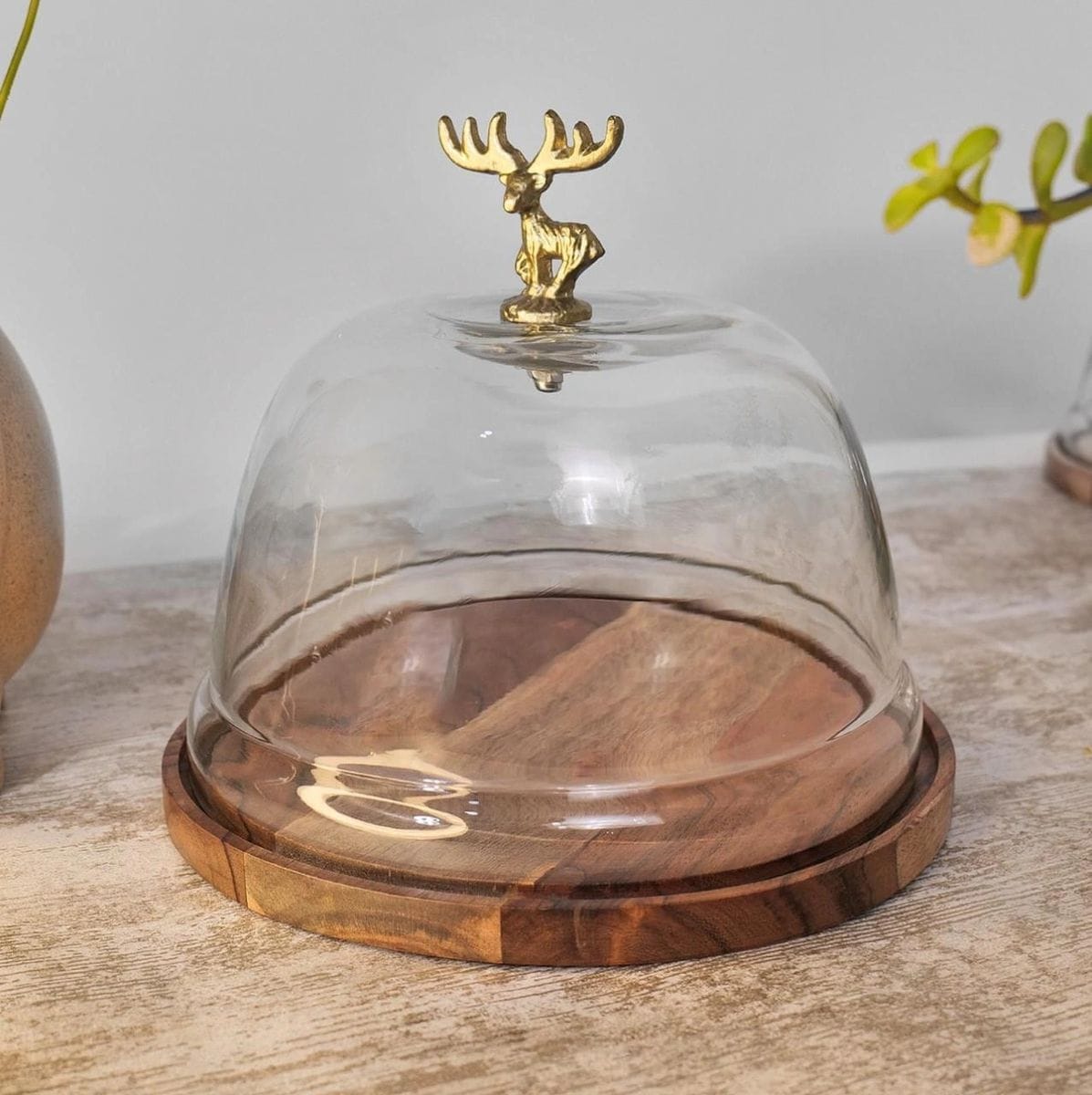 Wooden Cake Stand With Glass Dome