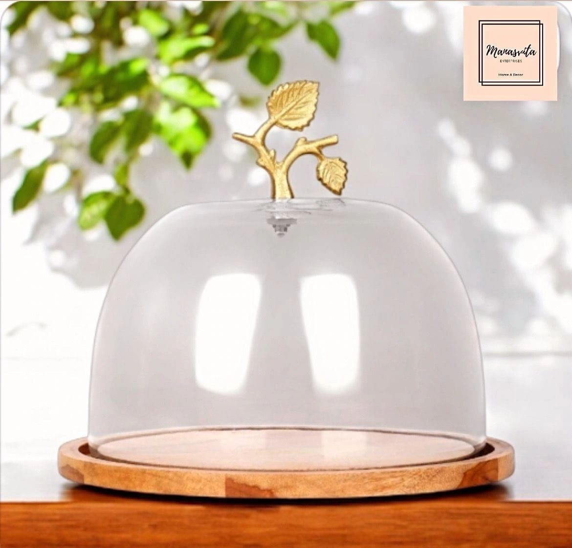 Glass Cloche with Wooden Base