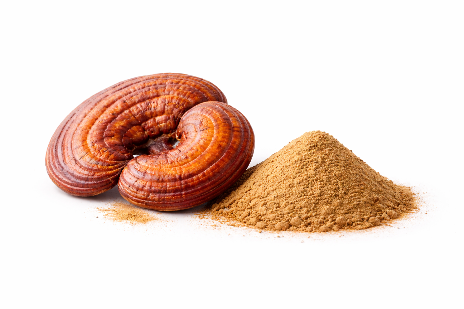 1 Kg. Extracto en Polvo de Hongo Reishi