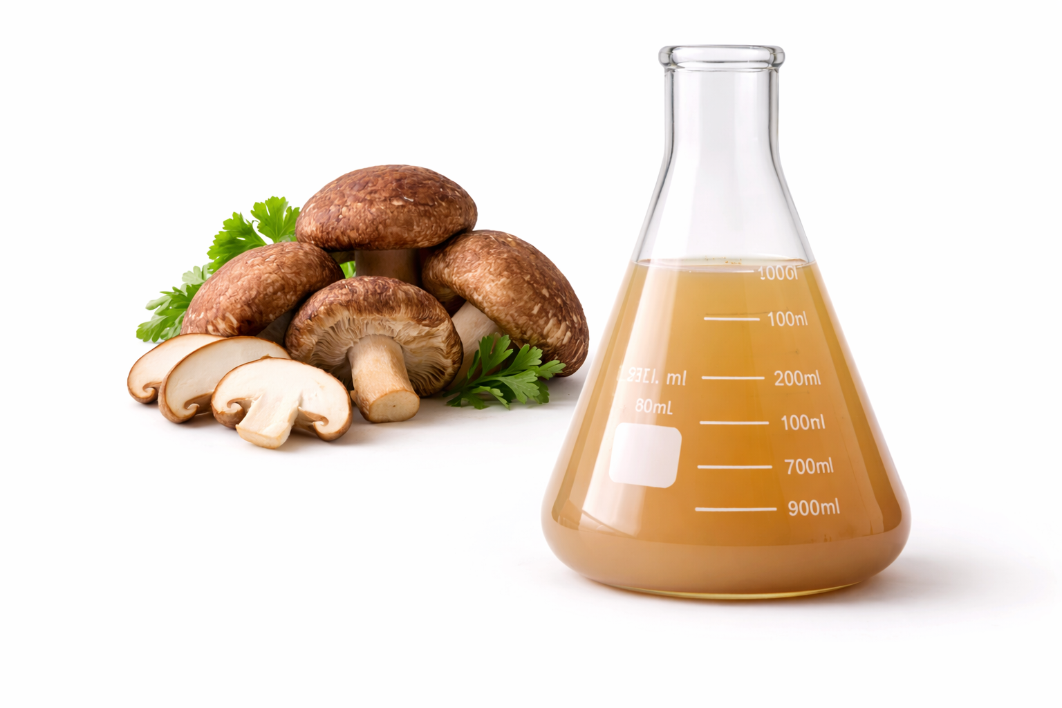 1 Lt. Extracto en Liquido de Shiitake