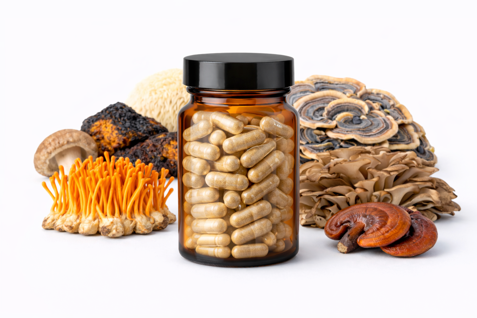 1 caja con 24 frascos vidrio con 90 capsulas de 500mg. por 7 Hongos