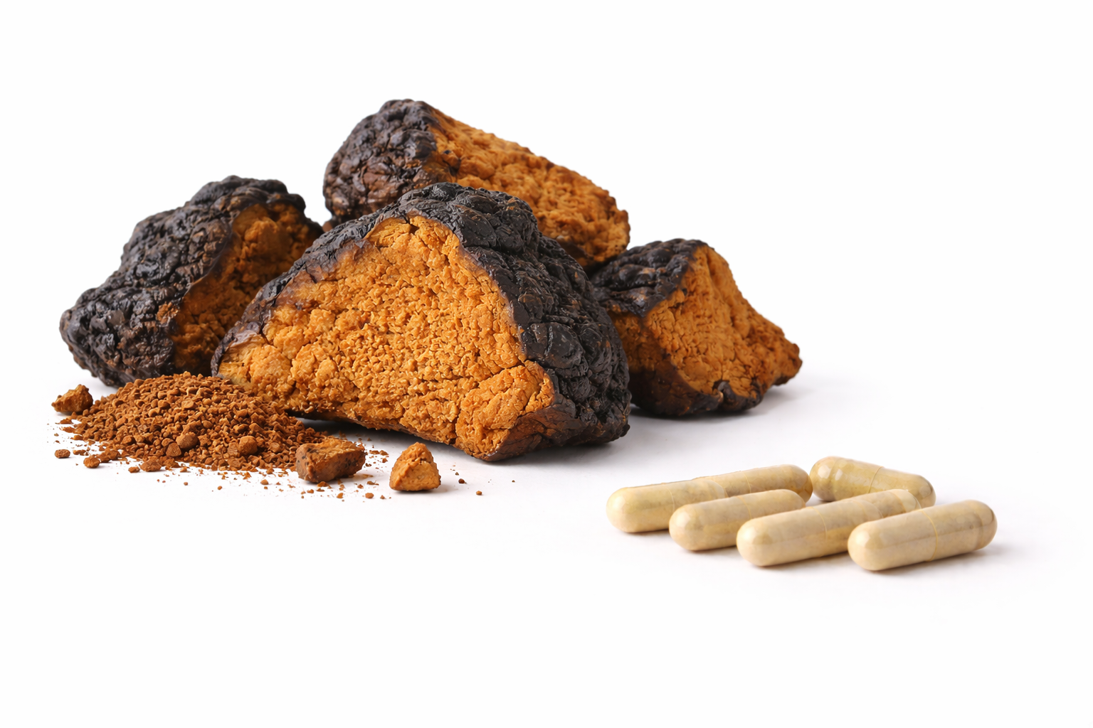 1 Kg. Extracto Encapsulado de Hongo Chaga