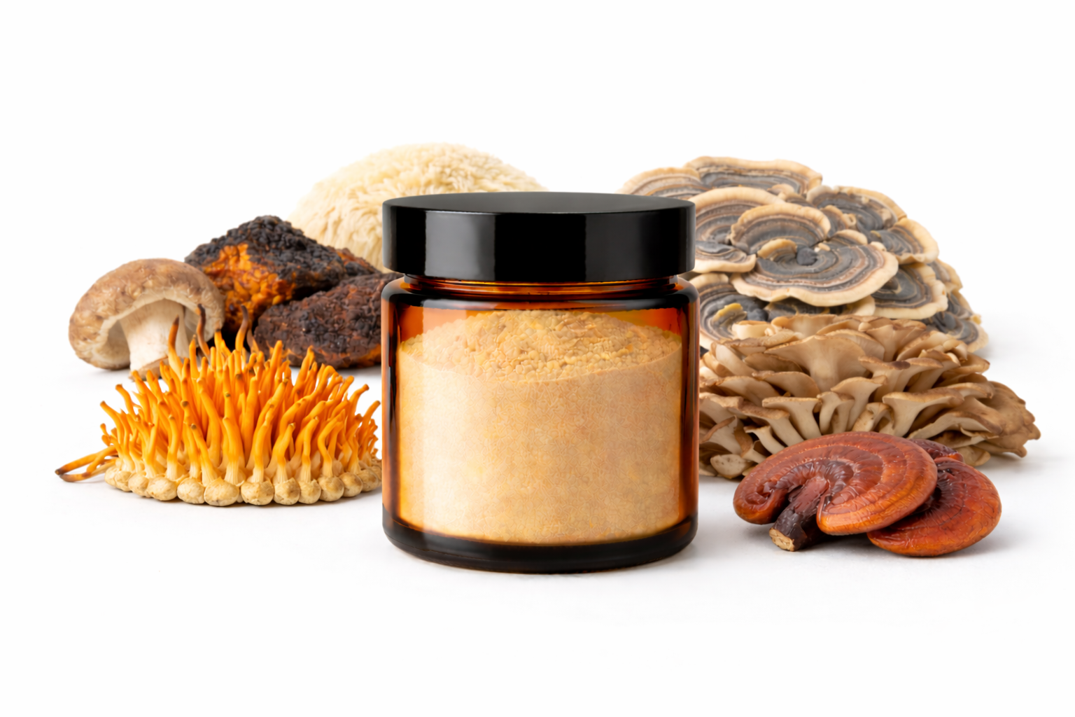 1 caja con 24 frascos vidrio de 100 gr. cada frasco con extracto en polvo mezcla de 7 hongos