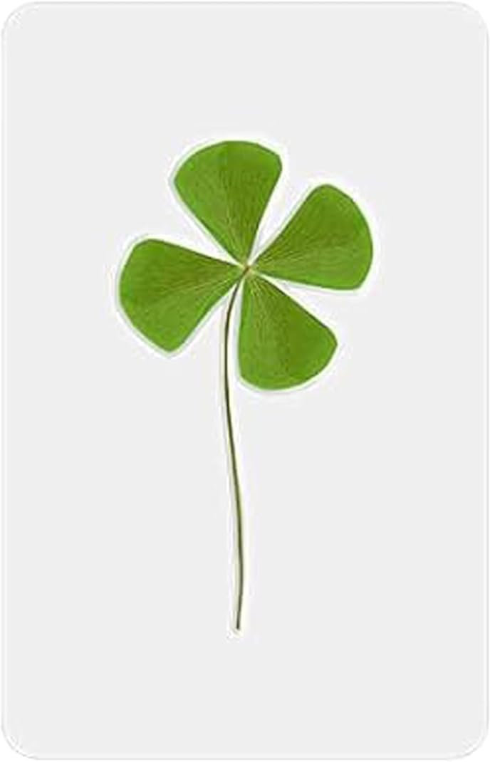 Trèfle à 4 feuilles 