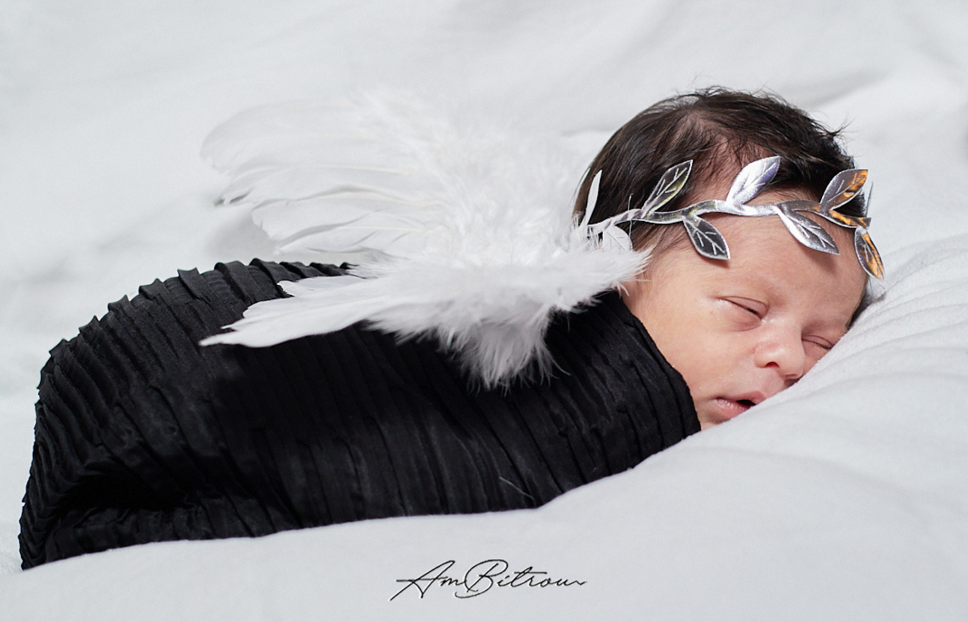 Newborn Photoshoot 