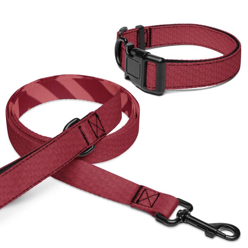 Red Dog Collar and Leash Set