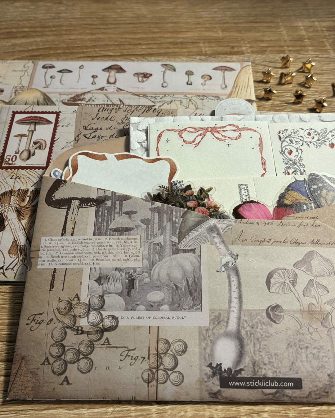 Vintage Ephemera Stuffed Envelope 35 pieces