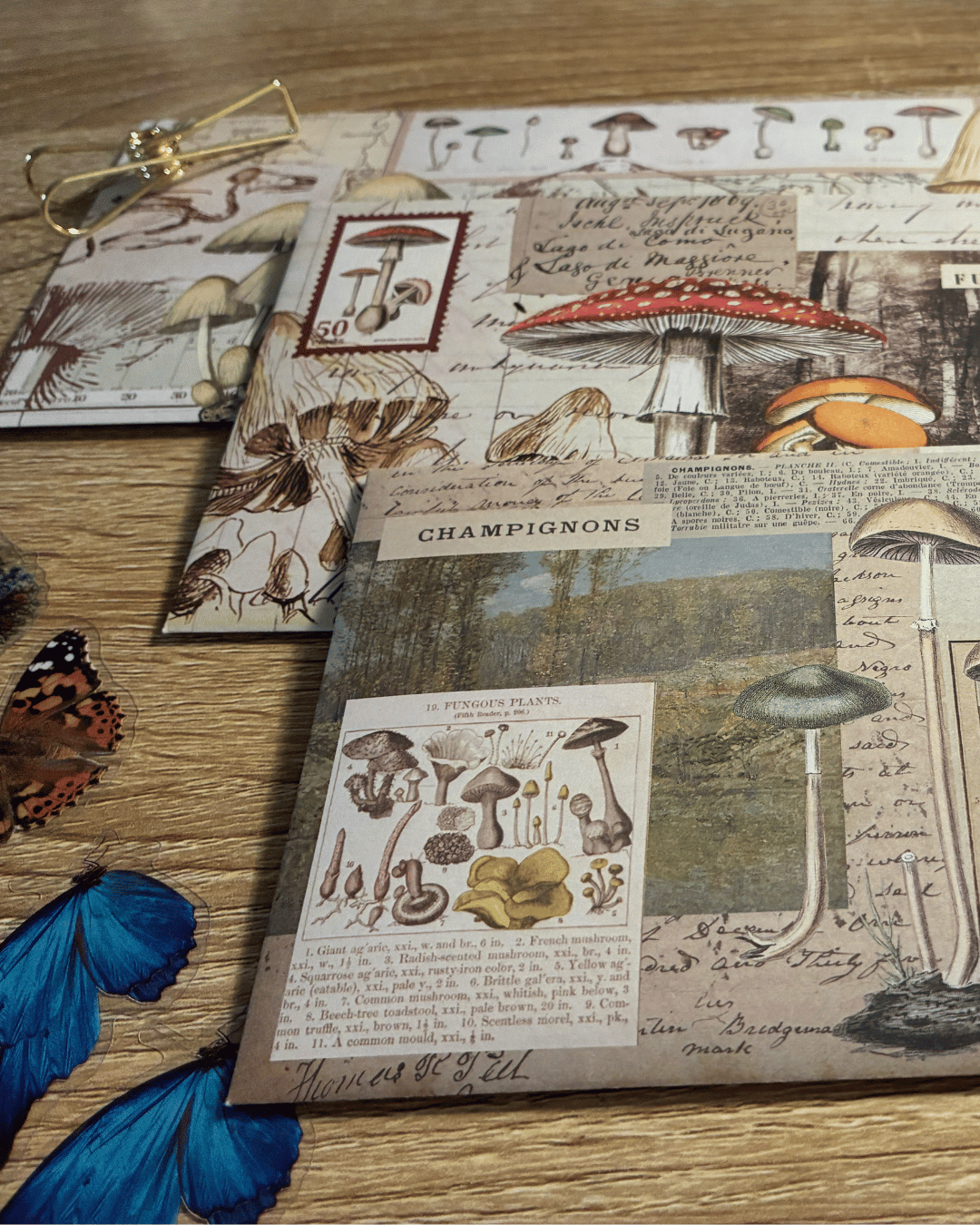 Vintage Ephemera Stuffed Envelope 35 pieces