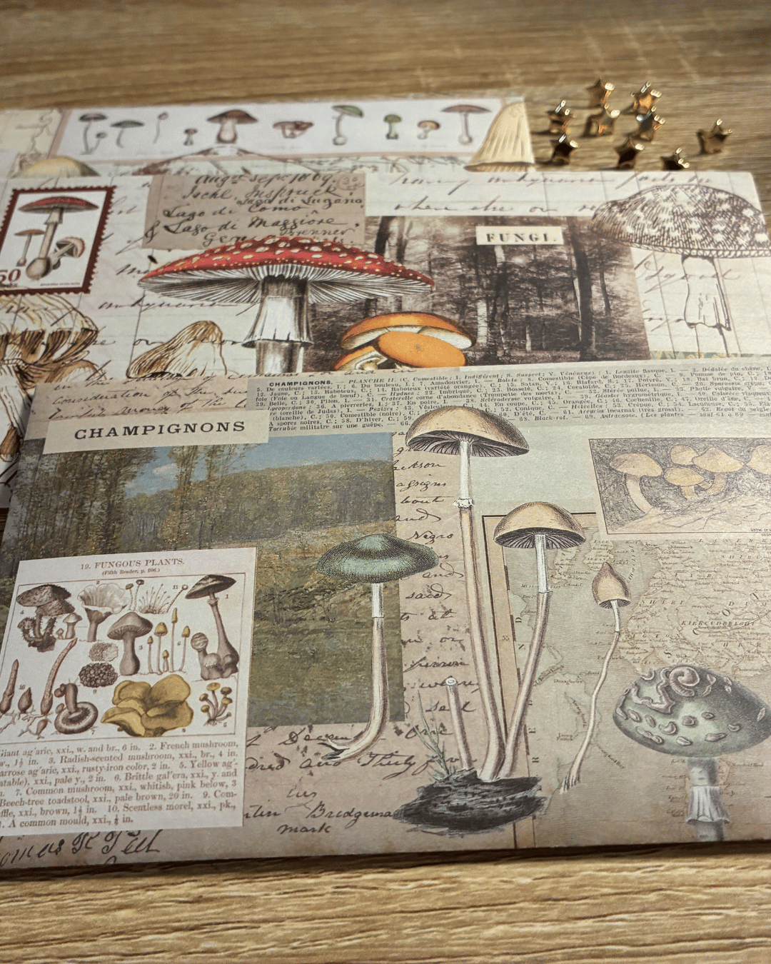 Vintage Ephemera Stuffed Envelope 35 pieces