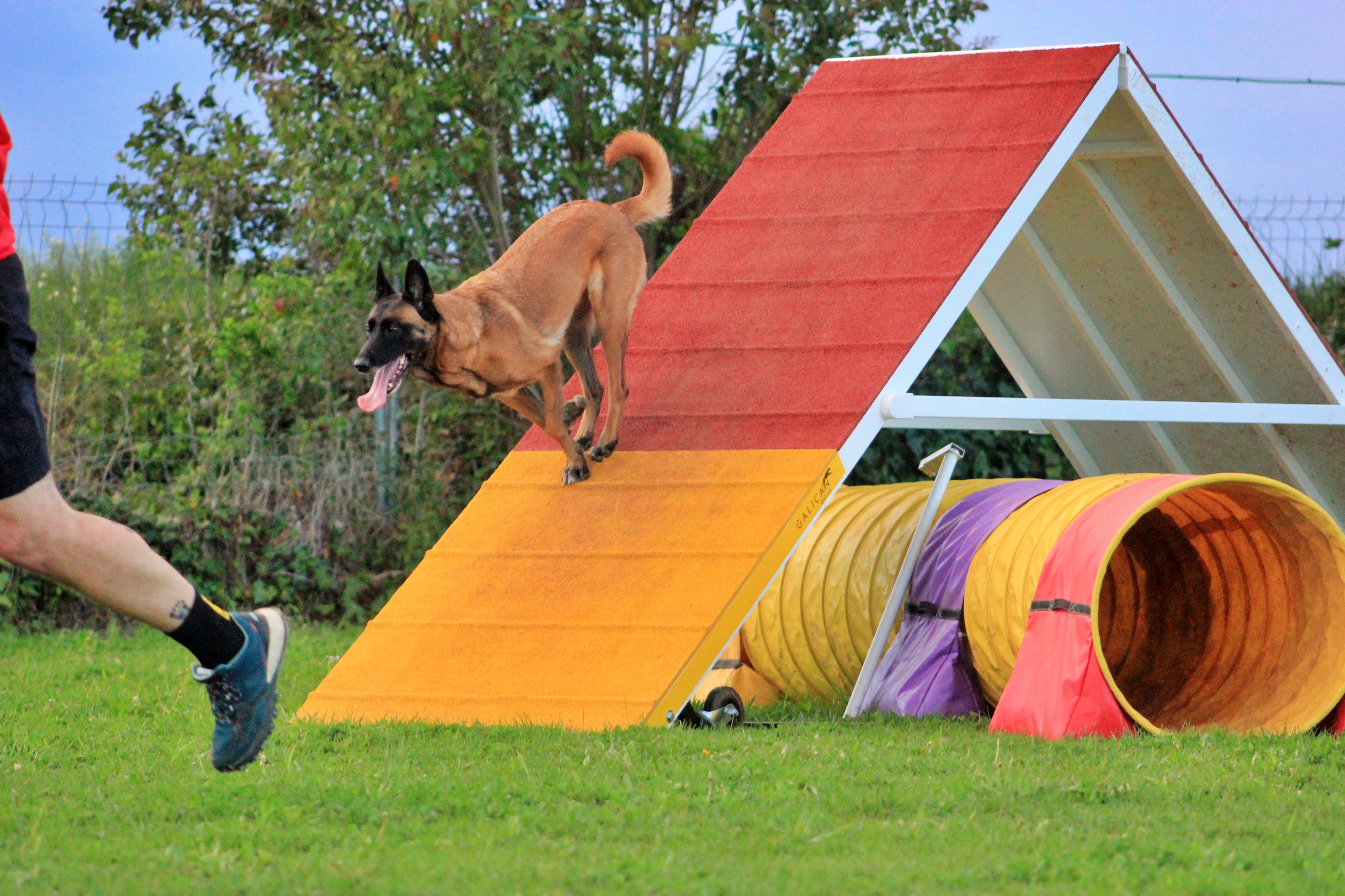 Calienta Antes de liarla