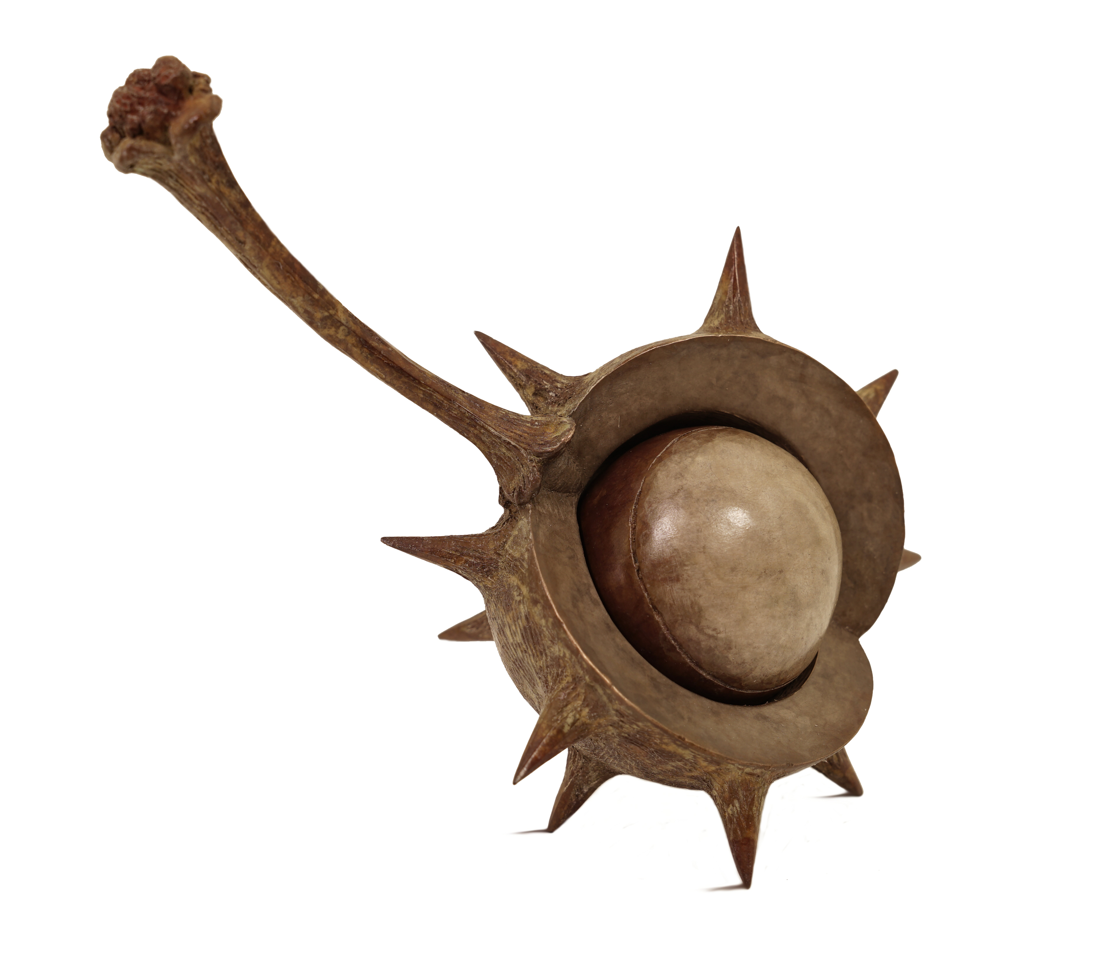 “From Tree To Thee"