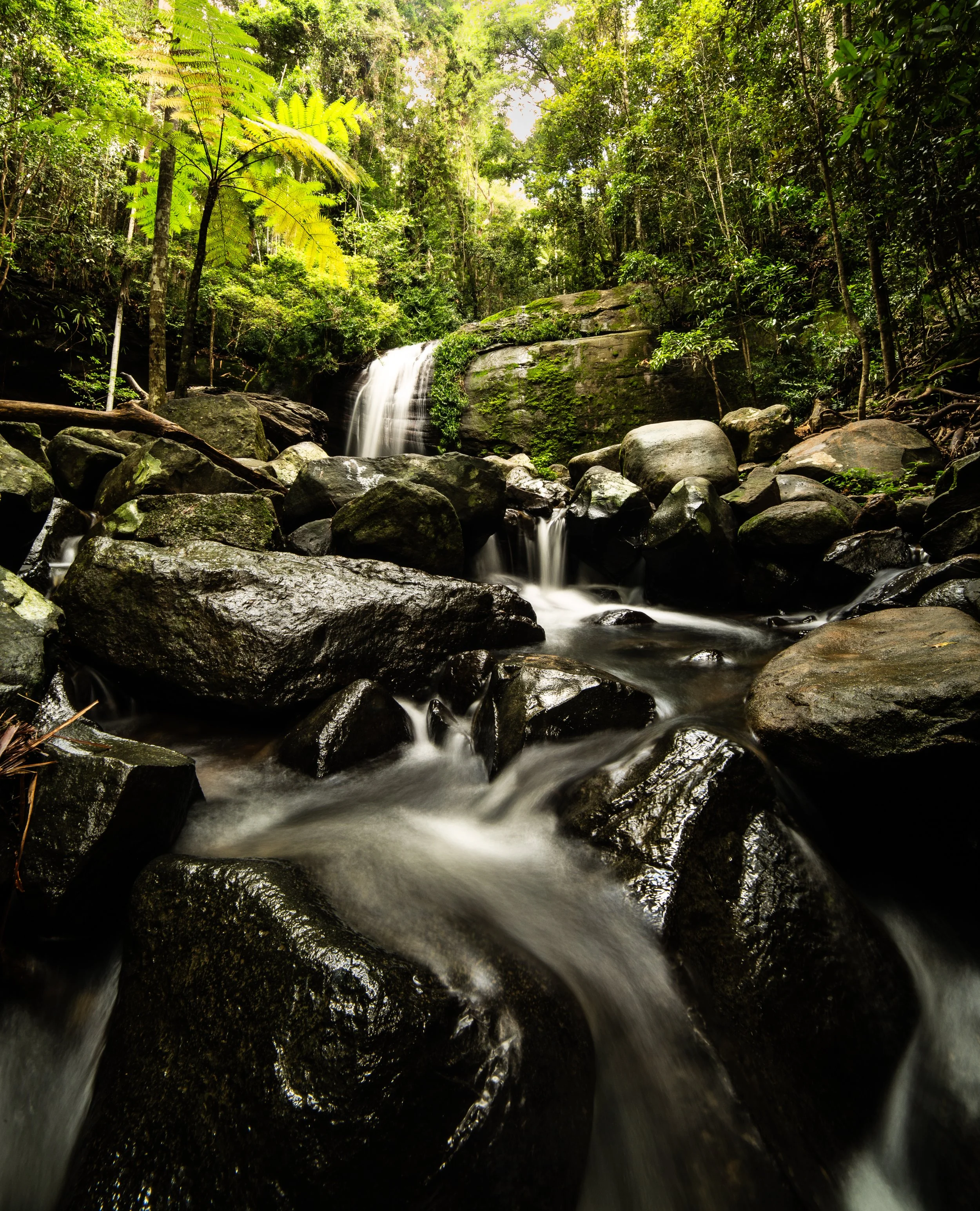 Buderim Falls Vol. 2: Serenity in Motion