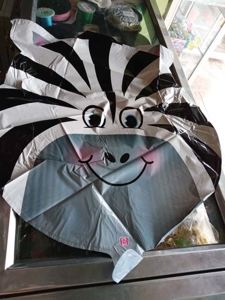 Globo de Cebra