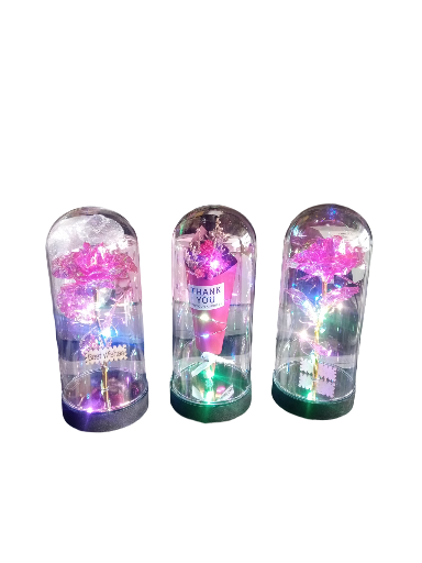 Rosa Eterna LED en Cúpula