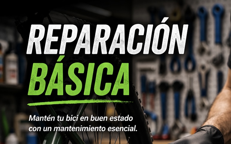 Revisión Básica
