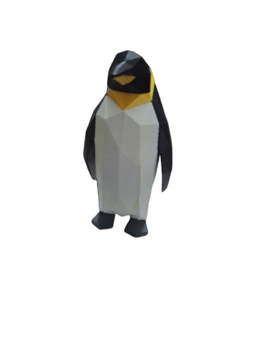 Geometric Penguin Magnetic Puzzle