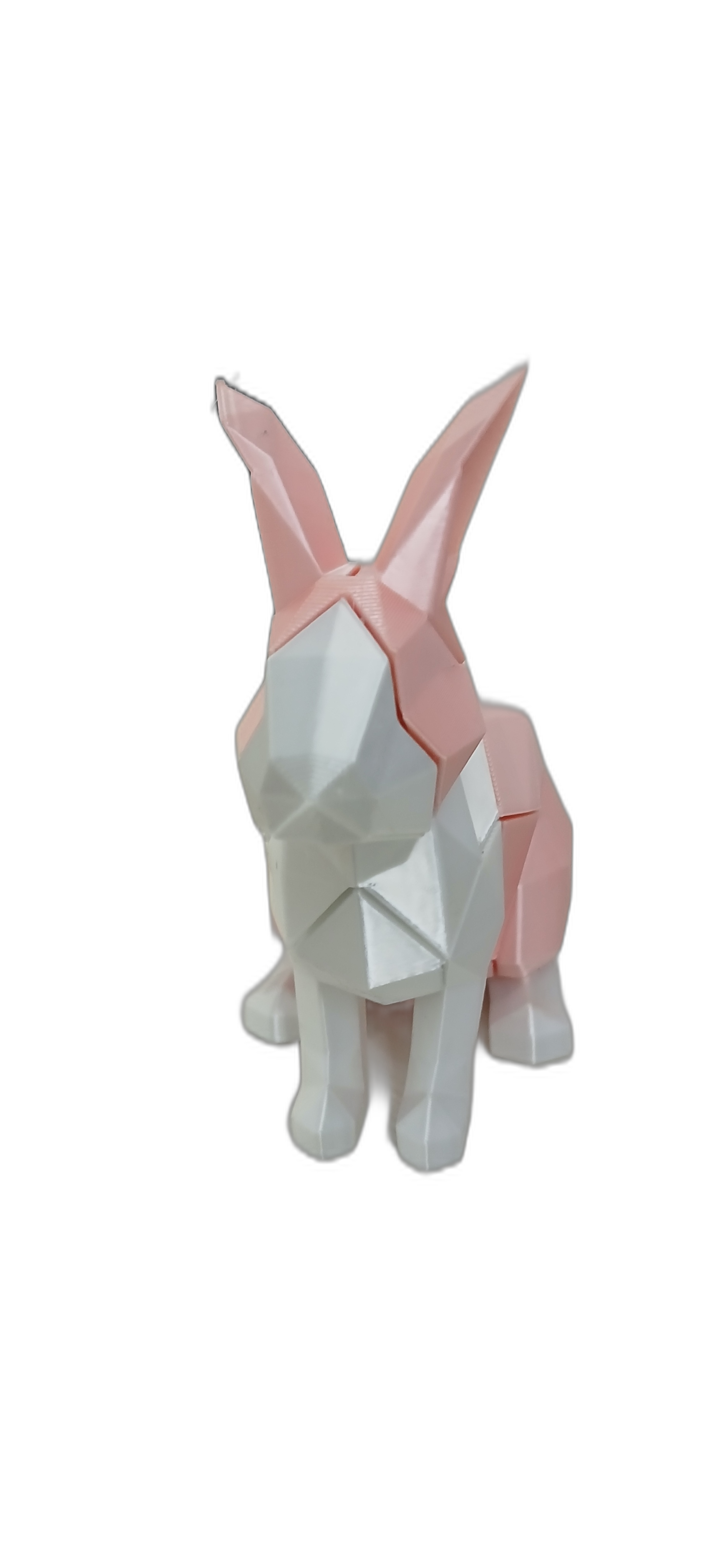 Magnetic Rabbit Puzzle